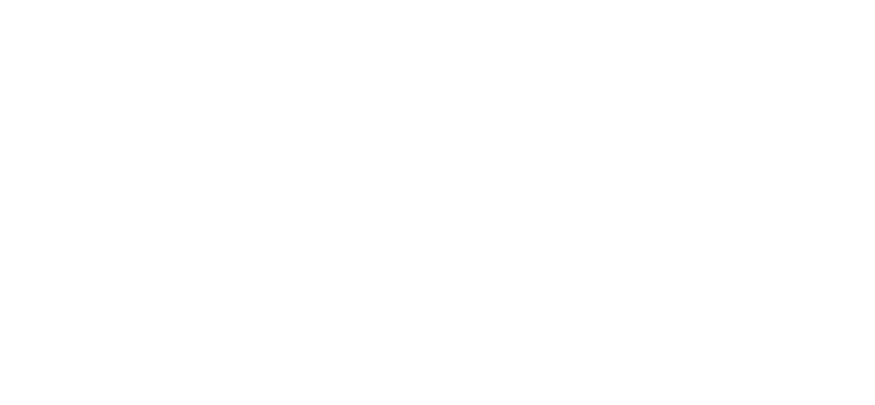 BDO Logo